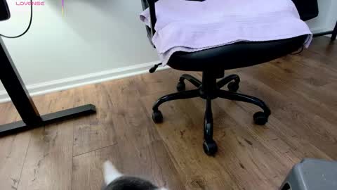 Nicole  Allen online show from 12-03-25, 09:02