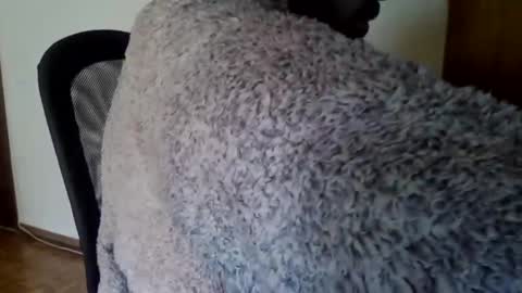 joaodias_18 online show from 12-13-24, 02:16