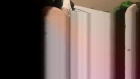 Snapshot of jocmyv9wokry chatting on 02-20-26, 11:54 jocmyv9wokry online show from 02-20-26, 11:54