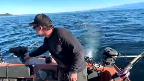 Snapshot of johnandmarie_ chatting on 10-05-25, 11:13 johnandmarie_ online show from 10-05-25, 11:13