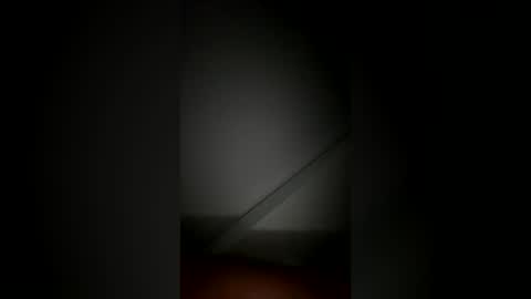 Snapshot of johngiaver3 chatting on 06-22-26, 01:29 johngiaver3 online show from 06-22-26, 01:29