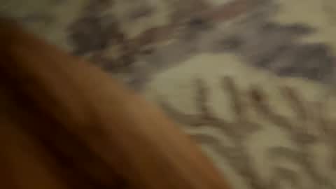 Snapshot of johnny235813 chatting on 09-18-25, 03:52 johnny235813 online show from 09-18-25, 03:52