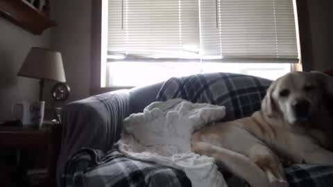 Johston online show from 11-05-25, 01:44