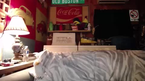 Johston online show from 05-25-26, 01:44