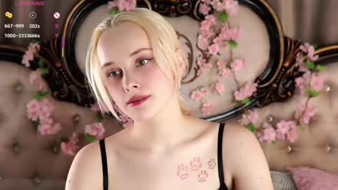 Alice online show from 04-17-26, 11:13