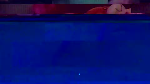 jooshi1981 online show from 02-12-26, 05:13