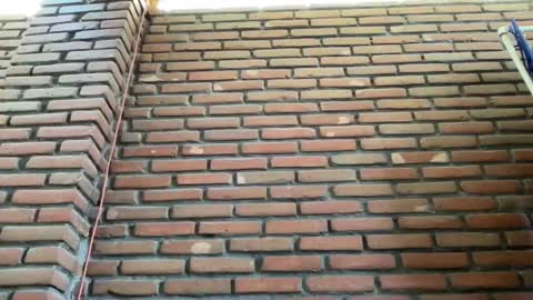 Snapshot of jorger577268 chatting on 02-09-25, 08:34 JorgeMAXX online show from 02-09-25, 08:34