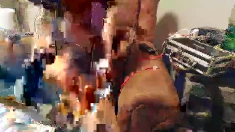 Josef online show from 01-22-25, 11:10