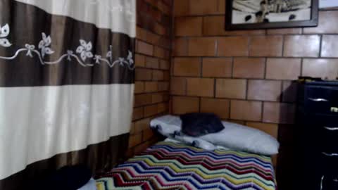 Snapshot of joseph_fit chatting on 10-22-25, 03:07 joseph online show from 10-22-25, 03:07