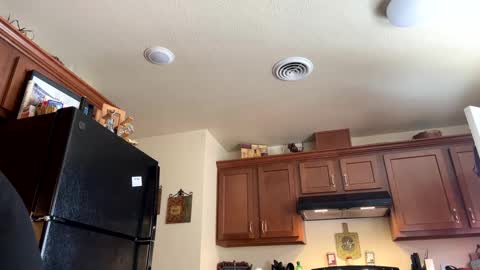 sissy josphine online show from 01-17-25, 08:22