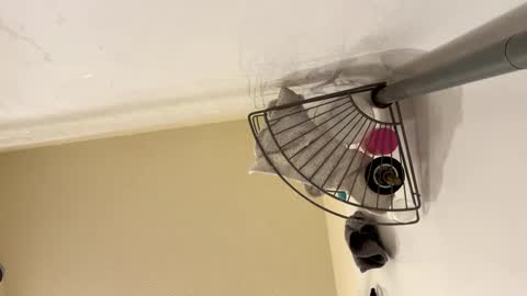 sissy josphine online show from 02-15-25, 06:23