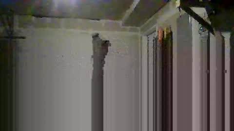 sissy josphine online show from 10-14-25, 06:36