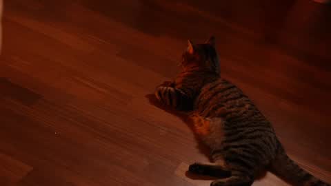 Snapshot of jseductiveart chatting on 02-03-25, 11:15 Jennifer Diaz online show from 02-03-25, 11:15