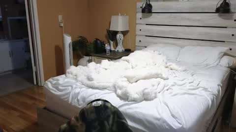 Texas Mamasita online show from 02-06-26, 02:53