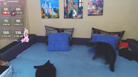 Jul online show from 03-04-26, 09:04