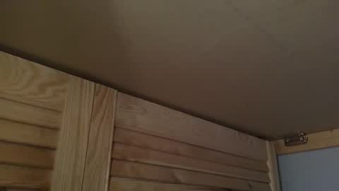 Gregor online show from 10-07-25, 07:27