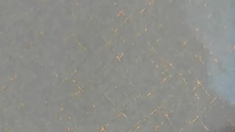 Snapshot of junosomnum chatting on 03-01-25, 01:53 junosomnum online show from 03-01-25, 01:53