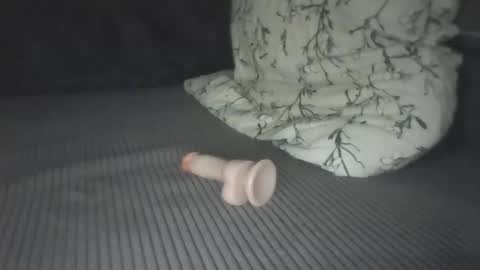 just_a_dick97 online show from 06-05-26, 10:26