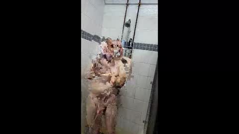 Just a Toy Soldier online show from 04-07-26, 05:13