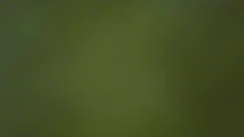 McKeefer online show from 01-23-25, 05:10