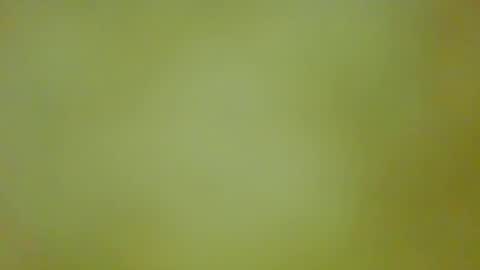 McKeefer online show from 09-13-25, 05:46