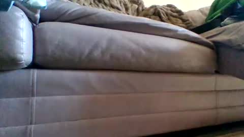 justgrosch4200 online show from 02-27-26, 05:46