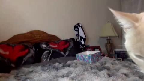 justicee4all online show from 01-16-26, 12:25