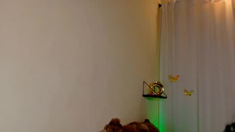 Kaaiiri online show from 03-04-26, 08:42