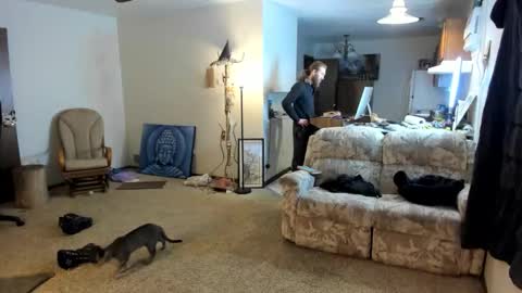 Kaiku77 online show from 01-06-26, 08:56