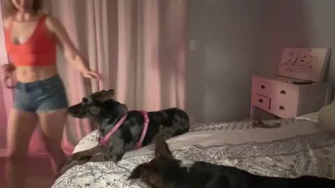 Kailee Smile online show from 02-12-25, 04:54