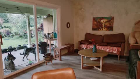 Kailee Smile online show from 01-08-26, 03:42