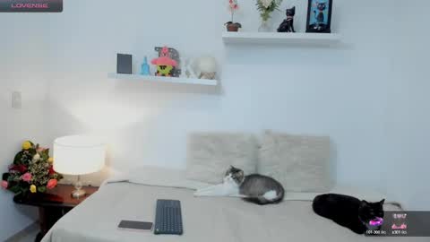 KailuaRose online show from 02-23-25, 01:35