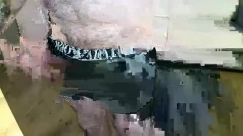 Snapshot of kalem48 chatting on 12-22-24, 08:27 MusicMen49 online show from 12-22-24, 08:27