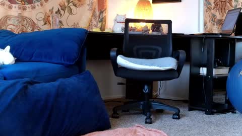 Snapshot of kalikushdreamz chatting on 01-30-25, 06:54 Tara Smith online show from 01-30-25, 06:54