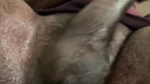 Snookie online show from 12-05-24, 09:39