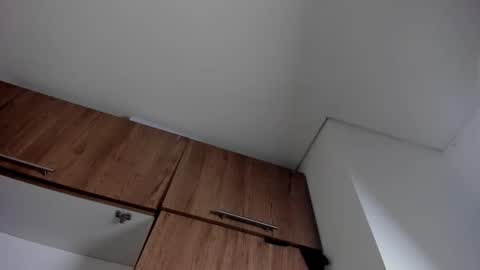 Snapshot of karina_aurora chatting on 01-11-26, 04:28 karina_aurora online show from 01-11-26, 04:28