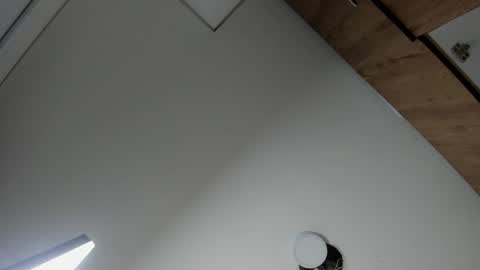 Snapshot of karina_aurora chatting on 02-19-26, 04:19 karina_aurora online show from 02-19-26, 04:19