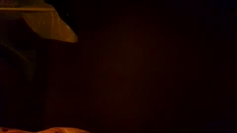 Snapshot of karla_gonzaless chatting on 11-04-25, 06:56 Karla Gonzaless online show from 11-04-25, 06:56