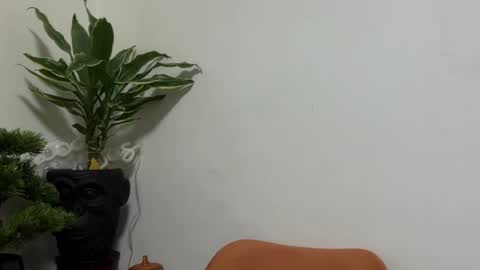 Snapshot of karoline121 chatting on 04-21-26, 02:51 karoline121 online show from 04-21-26, 02:51