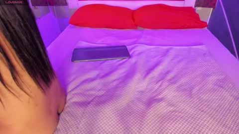 Karol online show from 02-20-26, 11:54