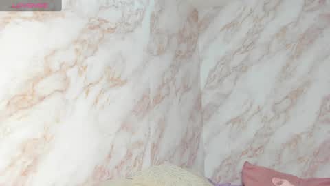 Snapshot of kaseydelvey chatting on 01-15-25, 06:51 online show from 01-15-25, 06:51