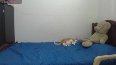 kate_leex online show from 06-17-26, 06:53