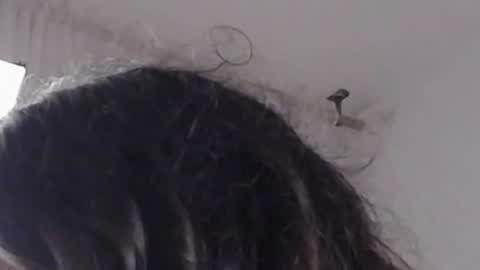 Help me with rate thanks  online show from 12-12-24, 08:47