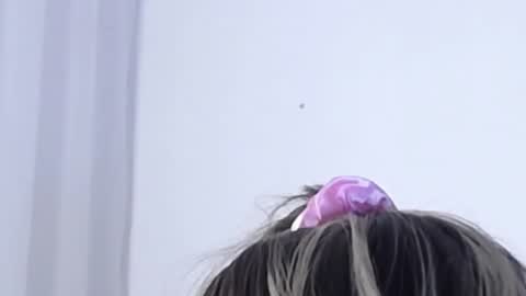 Help me with rate thanks  online show from 01-03-25, 03:16