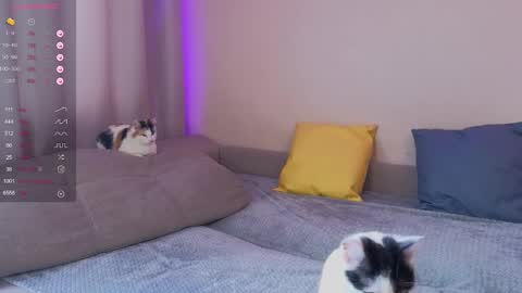 Snapshot of katerinnna chatting on 01-30-25, 05:52 Katerina online show from 01-30-25, 05:52