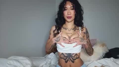 katiecai online show from 04-09-26, 08:14