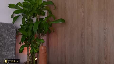 Katie online show from 11-20-25, 11:21