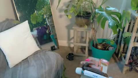 Kate online show from 10-01-25, 12:11