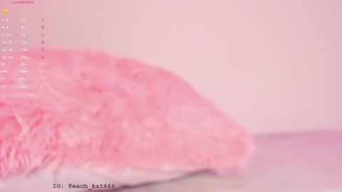 Katy  IGPeach kat666 online show from 01-16-25, 03:35