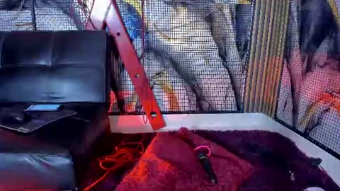 Snapshot of katizaldana chatting on 06-18-26, 08:25 kati online show from 06-18-26, 08:25